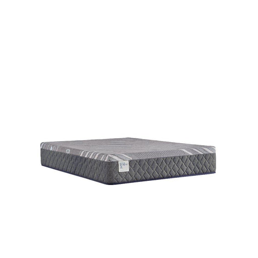 Sealy Refine Hybrid Mattress - Massey's Furniture Barn (Watertown, NY) 