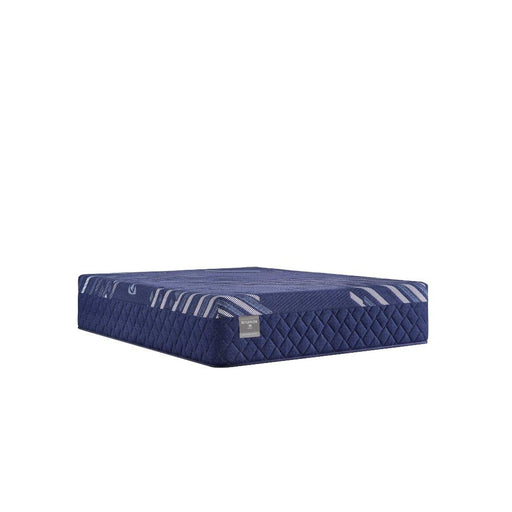 Sealy Annapolis Hybrid Mattress - Massey's Furniture Barn (Watertown, NY) 