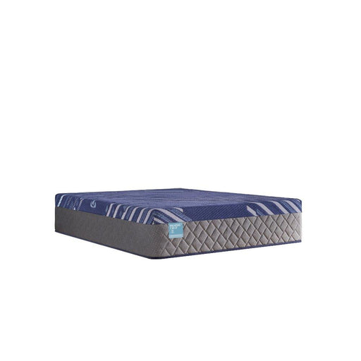 Sealy Pura Vida Hybrid Mattress - Massey's Furniture Barn (Watertown, NY) 