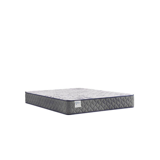 Sealy Provision Innerspring Mattress - Massey's Furniture Barn (Watertown, NY) 