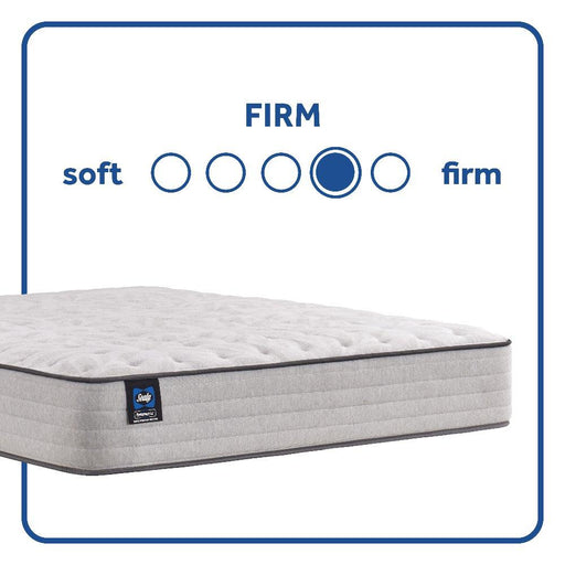 Sealy Spring Bloom Innerspring Mattress - Massey's Furniture Barn (Watertown, NY) 