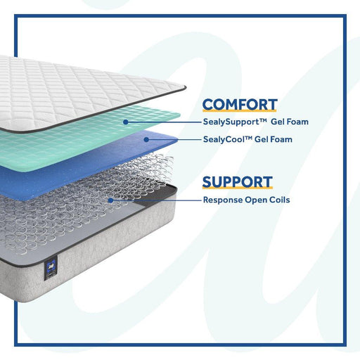 Sealy Summer Elm Innerspring Mattress - Massey's Furniture Barn (Watertown, NY) 