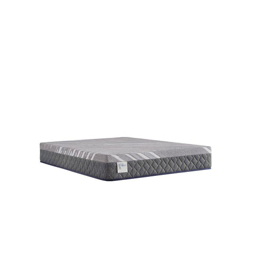 Sealy Porter Hybrid Mattress - Massey's Furniture Barn (Watertown, NY) 