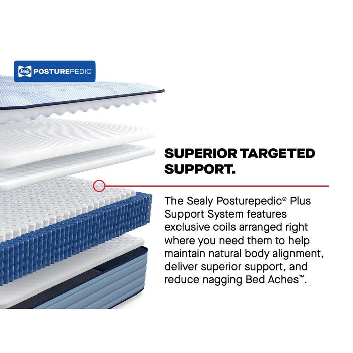 Plainfield Spring Mattress - Massey's Furniture Barn (Watertown, NY) 