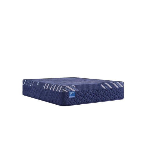 Sealy Travelers Rest Hybrid Mattress - Massey's Furniture Barn (Watertown, NY) 