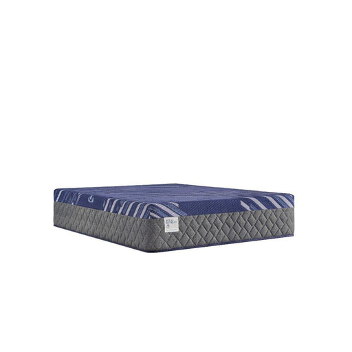 Sealy Westerfield Hybrid Mattress - Massey's Furniture Barn (Watertown, NY) 