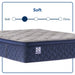 Sealy Garden Hills Spring Mattress - Massey's Furniture Barn (Watertown, NY) 