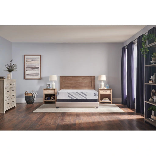 Sealy Lane Foam Mattress - Massey's Furniture Barn (Watertown, NY) 