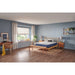 Sealy Erie Foam Mattress - Massey's Furniture Barn (Watertown, NY) 