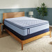 Sealy Medina II Spring Mattress - Massey's Furniture Barn (Watertown, NY) 