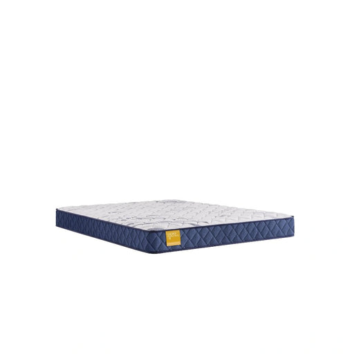Sealy Erie Foam Mattress - Massey's Furniture Barn (Watertown, NY) 