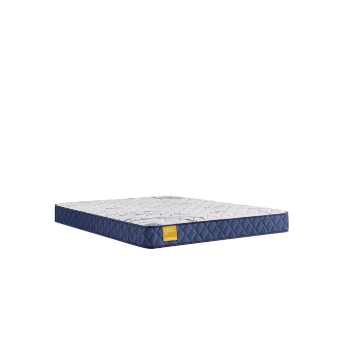 Sealy Erie Foam Mattress - Massey's Furniture Barn (Watertown, NY) 