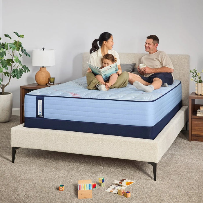 Dudley Spring Mattress - Massey's Furniture Barn (Watertown, NY) 