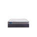 Sealy First & Park Foam Mattress - Massey's Furniture Barn (Watertown, NY) 