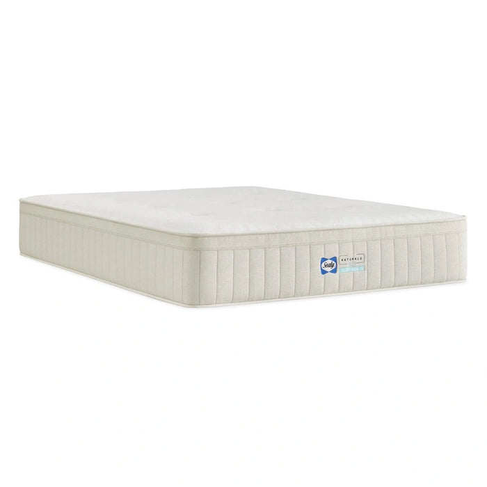 Sealy® Naturals™ Hybrid Mattress - Massey's Furniture Barn (Watertown, NY) 