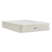 Sealy® Naturals™ Hybrid Mattress - Massey's Furniture Barn (Watertown, NY) 