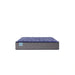 Sealy Pura Vida Innerspring Mattress - Massey's Furniture Barn (Watertown, NY) 