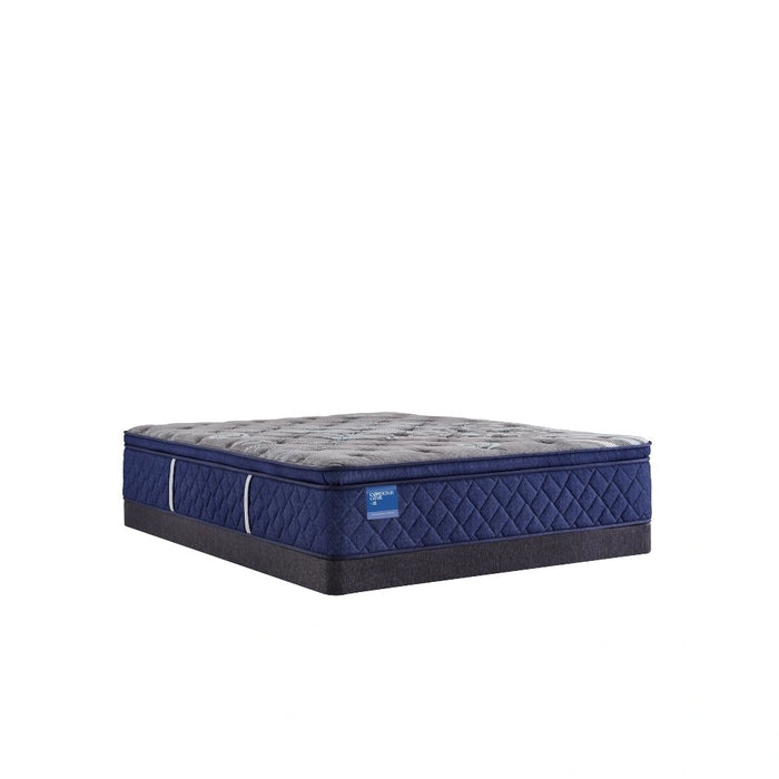 Sealy Midnight Cove Innerspring Mattress - Massey's Furniture Barn (Watertown, NY) 
