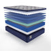 Sealy Grayson Innerspring Mattress - Massey's Furniture Barn (Watertown, NY) 