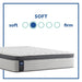 Diggens Innerspring Mattress - Massey's Furniture Barn (Watertown, NY) 