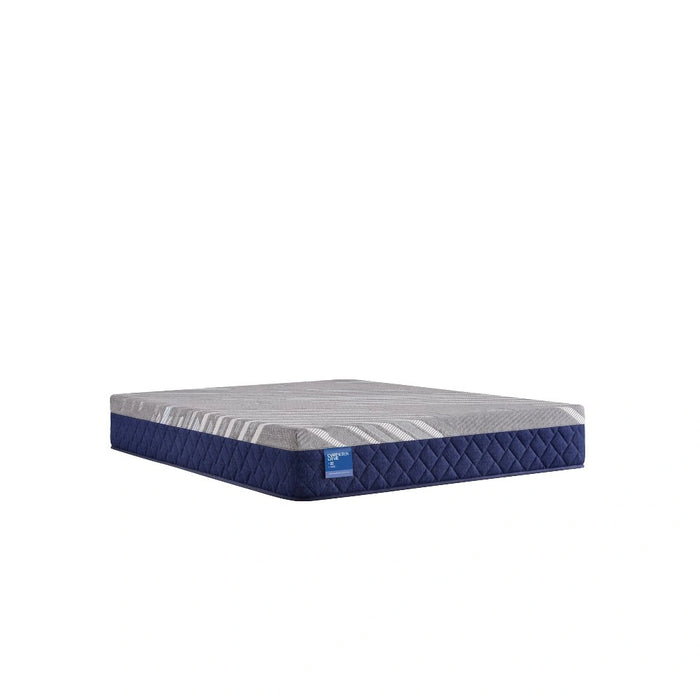Sealy Pacific Rest Hybrid Mattress - Massey's Furniture Barn (Watertown, NY) 
