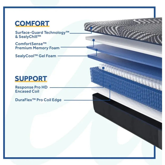 Albany Hybrid Mattress - Massey's Furniture Barn (Watertown, NY) 