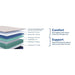 Sealy Zen Garden Spring Mattress - Massey's Furniture Barn (Watertown, NY) 