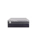 Miami Hybrid Mattress - Massey's Furniture Barn (Watertown, NY) 