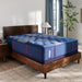 Sealy Albany II Spring Mattress - Massey's Furniture Barn (Watertown, NY) 