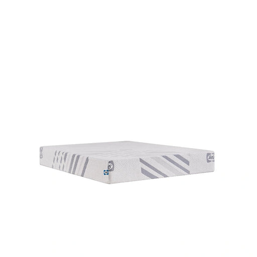 Sealy Lane Foam Mattress - Massey's Furniture Barn (Watertown, NY) 