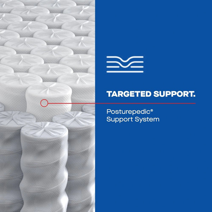 Goddard Hybrid Mattress - Massey's Furniture Barn (Watertown, NY) 