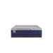 Sealy Benedict Hybrid Mattress - Massey's Furniture Barn (Watertown, NY) 