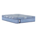 Sealy Dupont II Hybrid Mattress - Massey's Furniture Barn (Watertown, NY) 