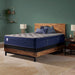 Sealy Garden Hills Spring Mattress - Massey's Furniture Barn (Watertown, NY) 