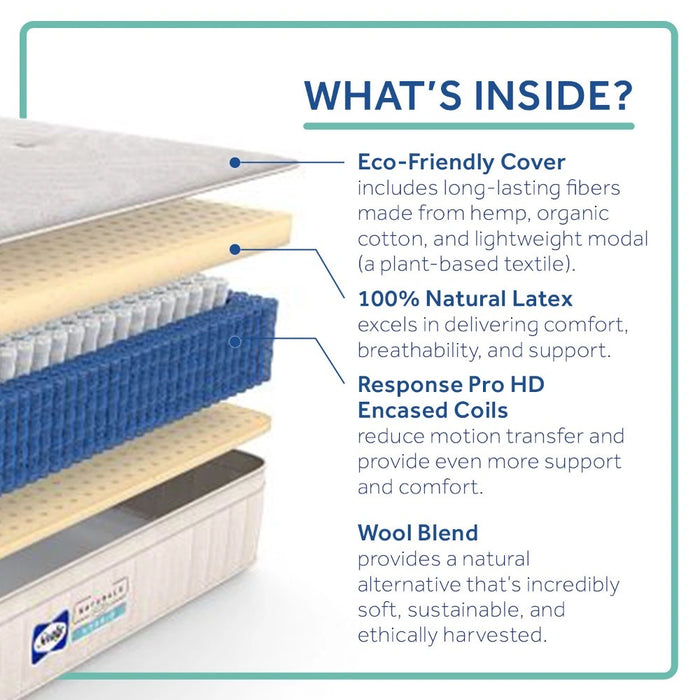 Sealy® Naturals™ Hybrid Mattress - Massey's Furniture Barn (Watertown, NY) 
