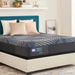 Brenham Hybrid Mattress - Massey's Furniture Barn (Watertown, NY) 