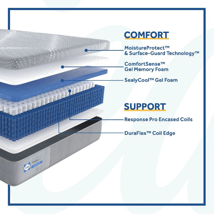 Paterson Hybrid Mattress - Massey's Furniture Barn (Watertown, NY) 