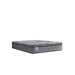 Sealy Remey Innerspring Mattress - Massey's Furniture Barn (Watertown, NY) 