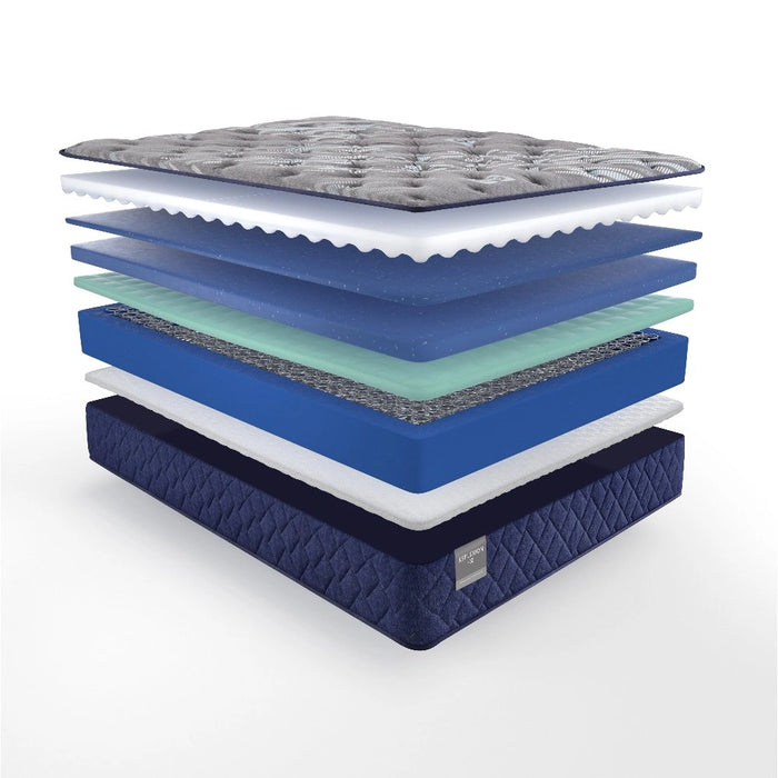 Sealy Grayson Innerspring Mattress - Massey's Furniture Barn (Watertown, NY) 