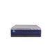 Sealy Midnight Cove Hybrid Mattress - Massey's Furniture Barn (Watertown, NY) 