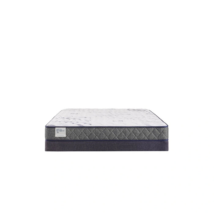 Sealy Paisley Foam Mattress - Massey's Furniture Barn (Watertown, NY) 