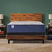 Sealy Garden Hills Spring Mattress - Massey's Furniture Barn (Watertown, NY) 