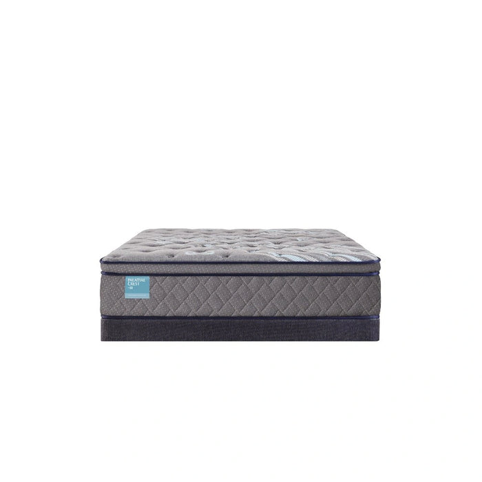 Sealy Remey Innerspring Mattress - Massey's Furniture Barn (Watertown, NY) 