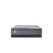 Sealy Remey Innerspring Mattress - Massey's Furniture Barn (Watertown, NY) 