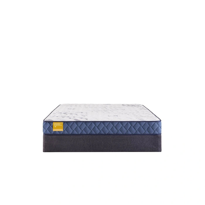 Sealy Erie Foam Mattress - Massey's Furniture Barn (Watertown, NY) 