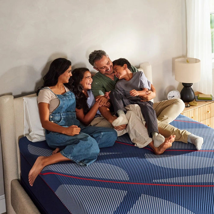 Sealy Albany II Hybrid Mattress - Massey's Furniture Barn (Watertown, NY) 