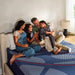 Sealy Albany II Hybrid Mattress - Massey's Furniture Barn (Watertown, NY) 
