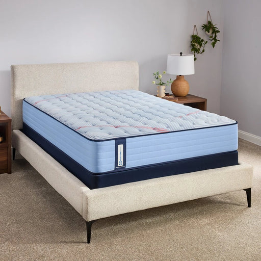 Dudley Spring Mattress - Massey's Furniture Barn (Watertown, NY) 