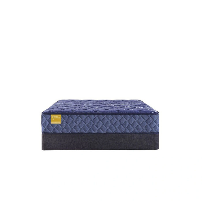 Sealy Remmington Innerspring Mattress - Massey's Furniture Barn (Watertown, NY) 