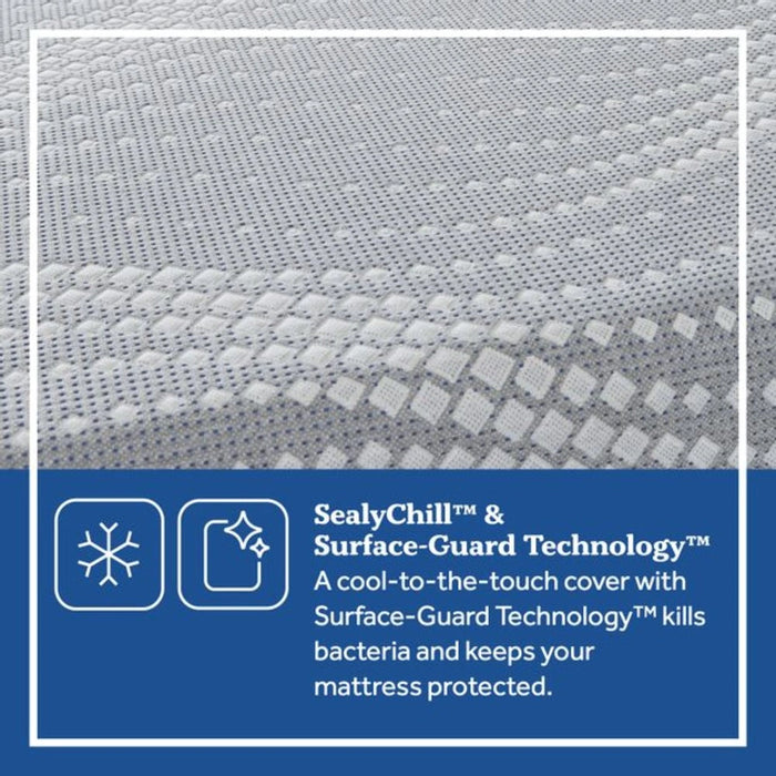 Elsanta Hybrid Mattress - Massey's Furniture Barn (Watertown, NY) 
